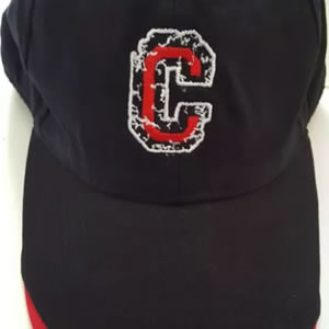Embroidered hat with hockey team logo